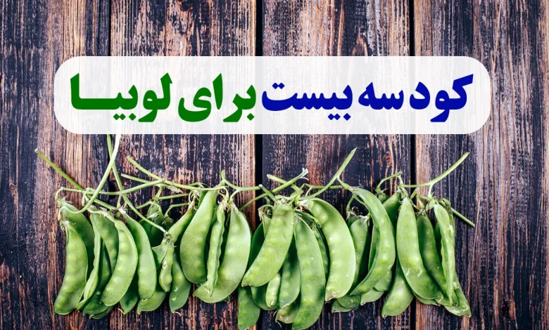کود سه بیست برای لوبیا