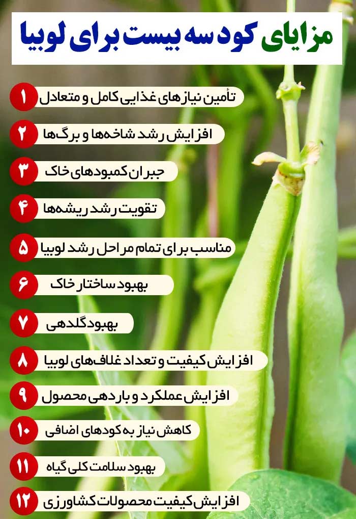 کود سه بیست لوبیا