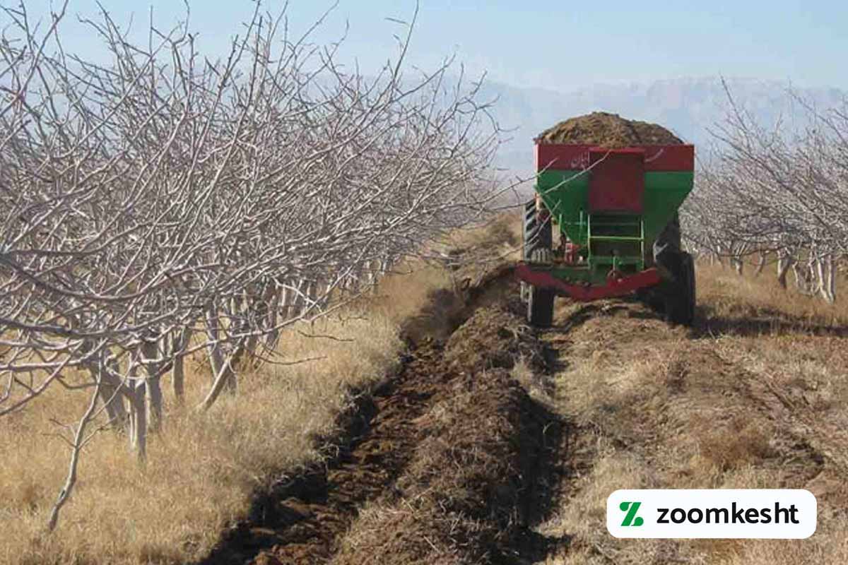 کوددهی پسته در زمستان