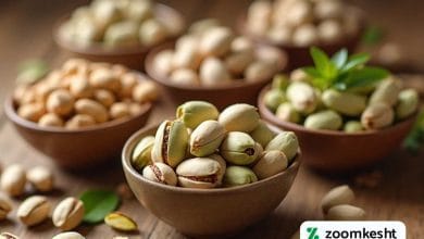 ارقام پسته