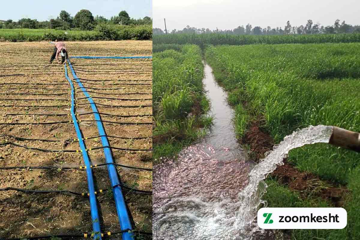 تفاوت آبیاری قطره ای با آبیاری سنتی