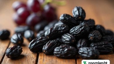 بهترین مویز دنیا