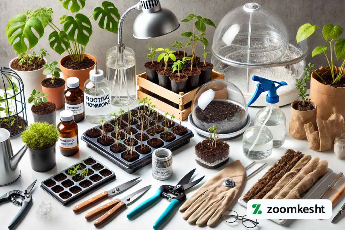 تجهیزات مورد نیاز تکثیر گیاهان آپارتمانی