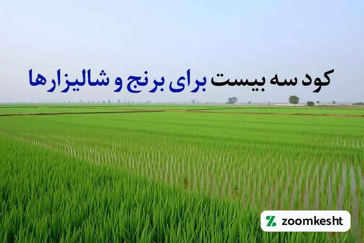 کود سه بیست برنج و شالیزار