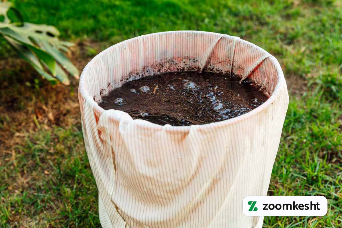 کاشت چای