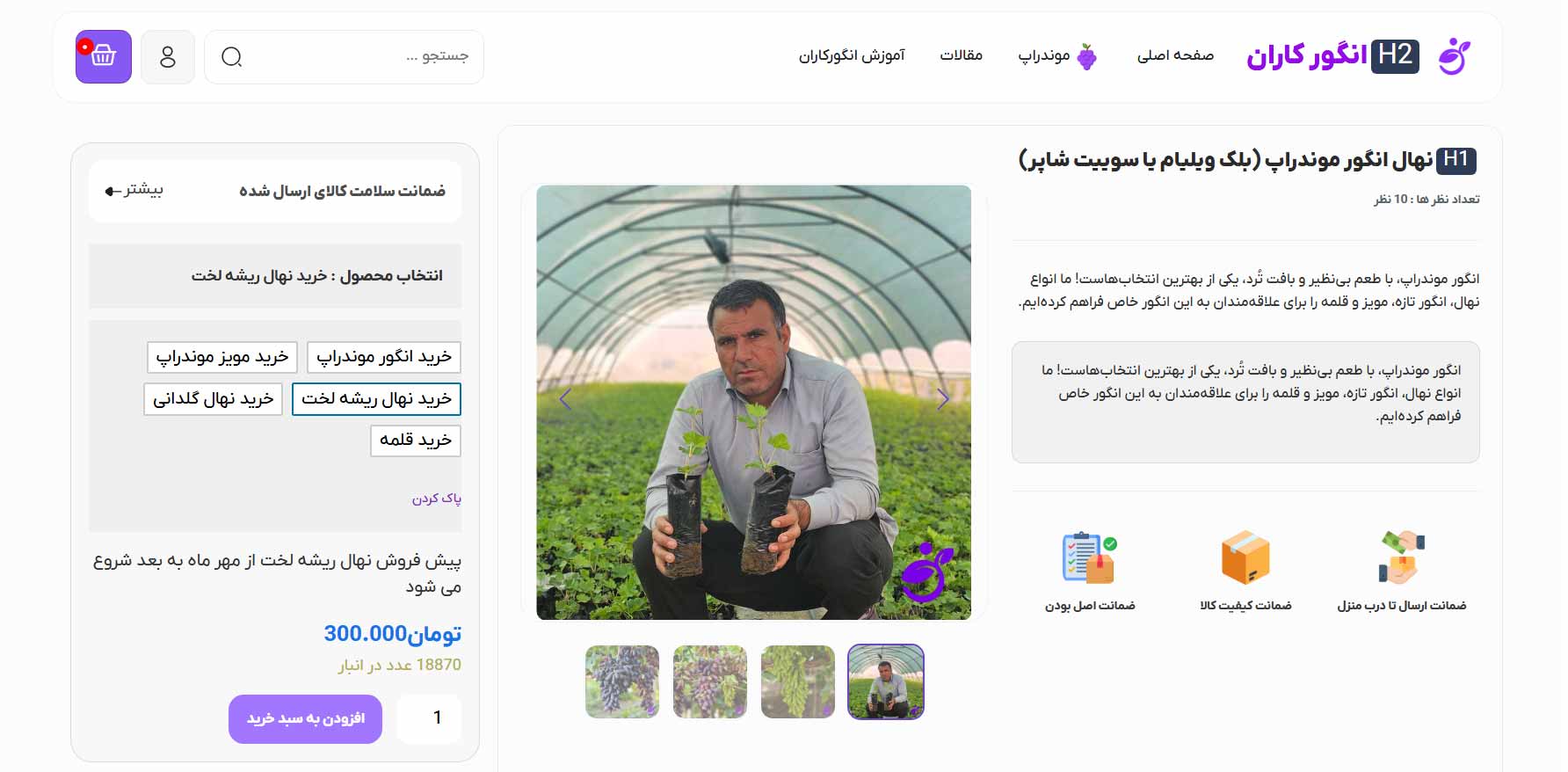 قیمت نهال انگور موندراپ