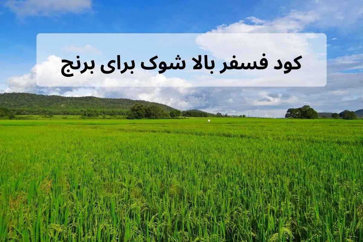 کود فسفر بالا شوک برای برنج